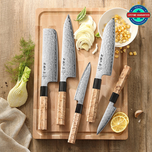 Hezhen 5 Pcs Chef Knife Set Japanese Aogami Blue 2 Steel High Carbon Core 49 Layers Damascus Steel Sycamore Handle Nakiri