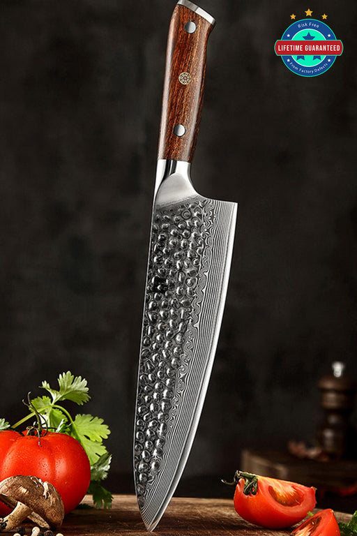 Xinzuo B13D 8" 67 Layer Japanese Damascus Chef Knife Damascus Steel Chef Knife