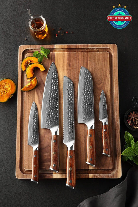 Xinzuo B13D 5 Pcs 67 Layer Damascus Santoku Knife Set