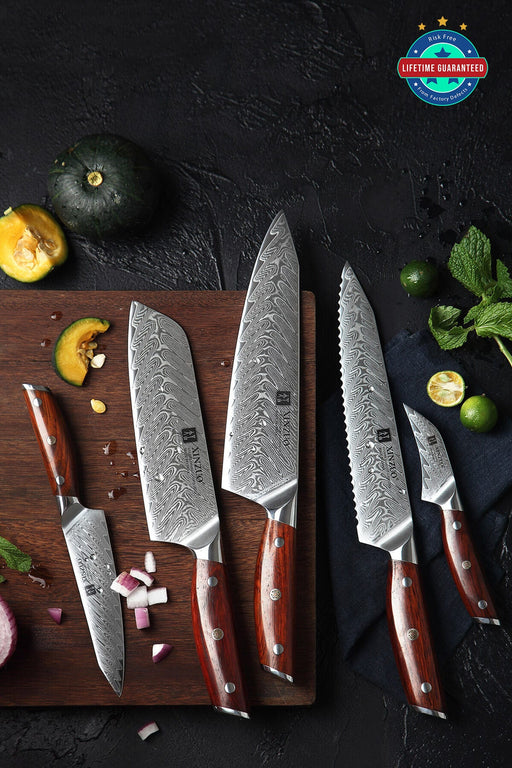 Xinzuo B27 5 Pcs 67 Layer Damascus Steel Chef knife Set Open Box