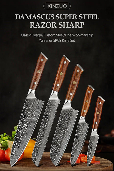 Xinzuo B13D 5 Pcs 67 Layer Damascus Santoku Knife Set North American Desert Ironwood