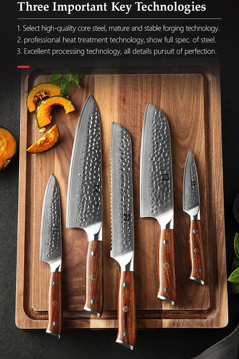 Xinzuo B13D 5 Pcs 67 Layer Damascus Santoku Knife Set North American Desert Ironwood