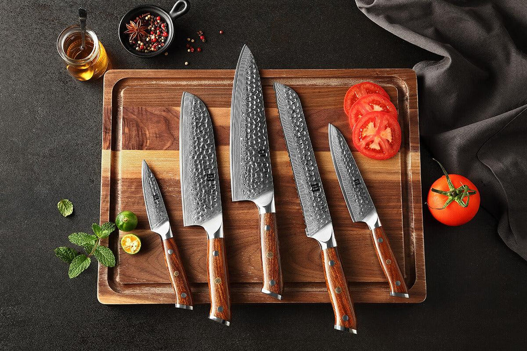 Xinzuo B13D 5 Pcs 67 Layer Damascus Santoku Knife Set North American Desert Ironwood