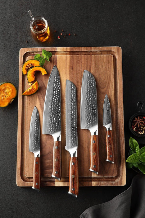 Xinzuo B13D 5 Pcs 67 Layer Damascus Santoku Knife Set