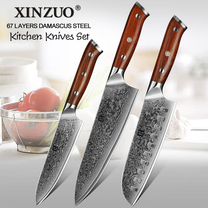 3 Pcs 67 Layer Damascus Steel Kitchen Knife set