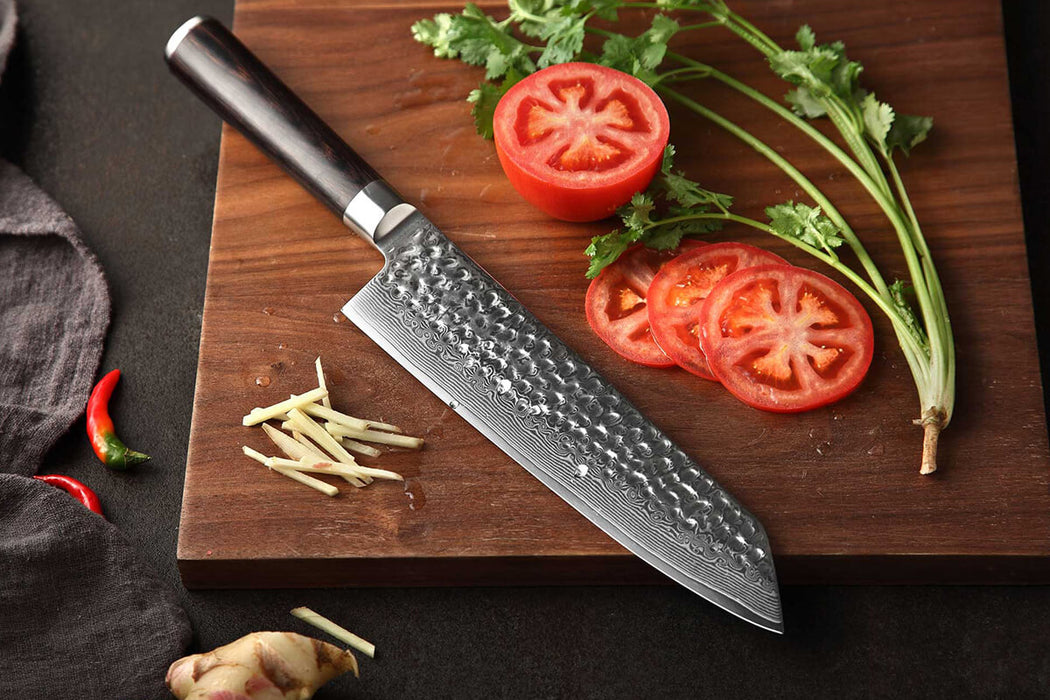 Xinzuo Layer Damascus Steel Gyuto Knife with Pakka Wood Handle