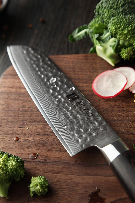 Xinzuo B1H 7" 67 layer Damascus Santoku Knife Damascus Steel Santoku Knife