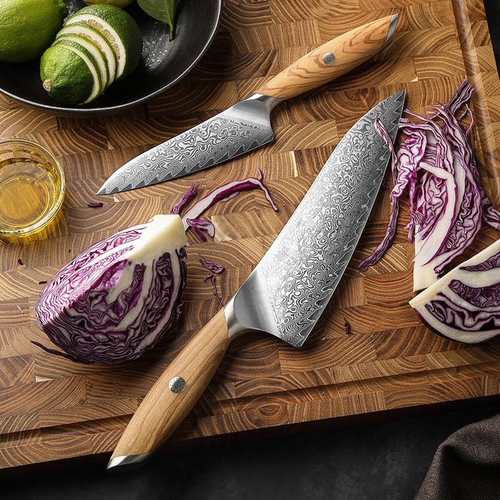 2 Pcs Chef Knife Set 73 Layers Damascus Powder Steel with Olive Wood Handle - X01 Flagship Series