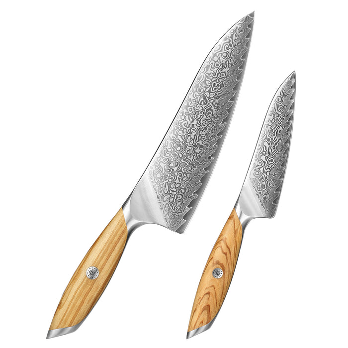 2 Pcs Chef Knife Set 73 Layers Damascus Powder Steel with Olive Wood Handle - X01 Flagship Series