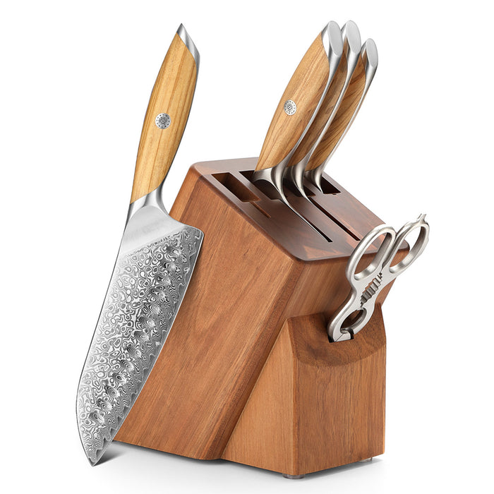 6 Pcs Chef Knife Set 73 Layers Damascus Powder Steel with Olive Wood Handle - X01 Flagship Series